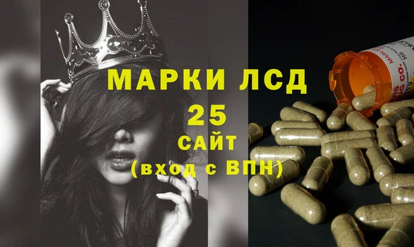 крисы Вязьма