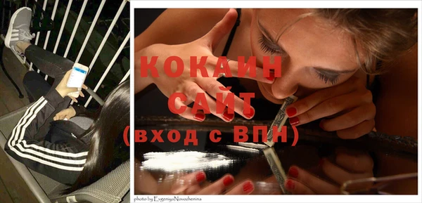 крисы Вязьма