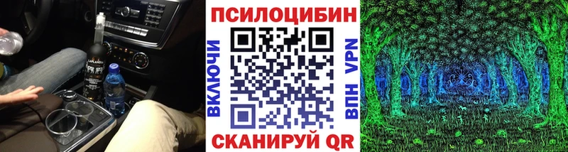 гидра как войти Наволоки Галлюциногенные грибы Cubensis